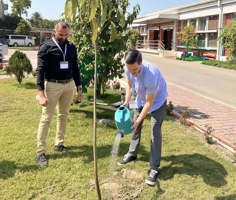 Planting Trees
